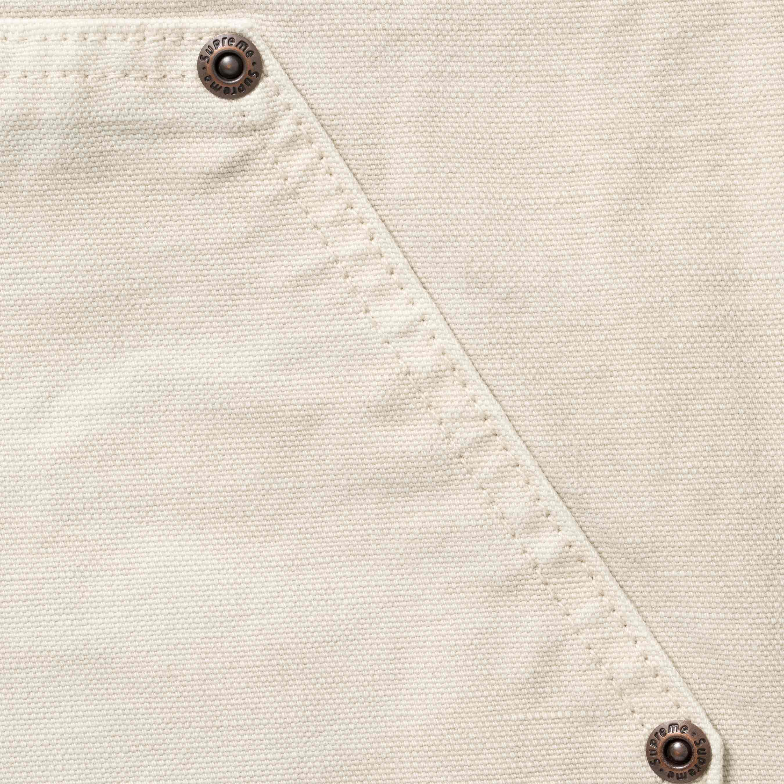 Worn Double Knee Painter Pant view 4